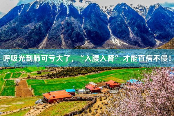 呼吸光到肺可亏大了，“入腰入肾” 才能百病不侵！