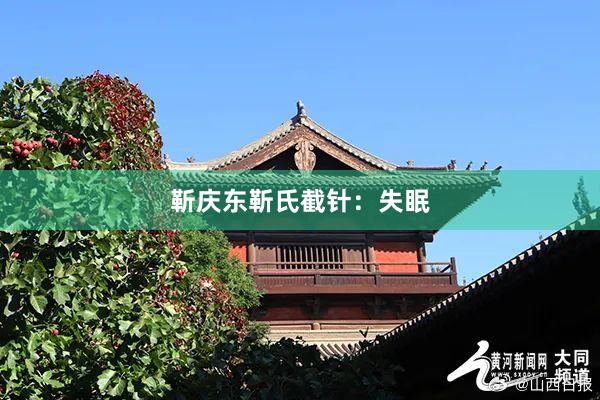 靳庆东靳氏截针：失眠